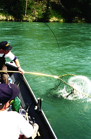 Alaska Fishing, Salmon fishing