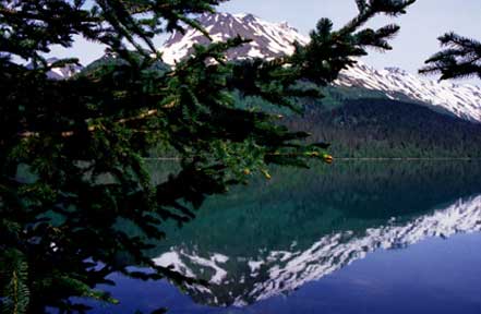 Trail Lake Reflection